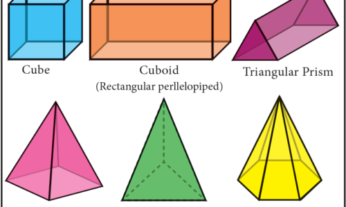 Protected: Mensuration: Perimeter & Area